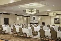 Embassy Suites by Hilton St. Louis Airport - Parkplatz