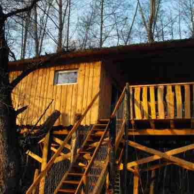 Cabane des cerfs Hotel Exterior