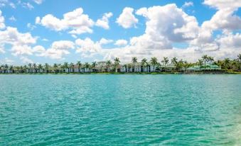 Bright and Modern Apartments at Palm Trace Landings in South Florida