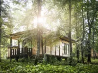Foresta Festival Park Hotel  호텔