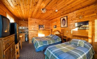 Wild Skies Cabin Rentals in Craig - Housity