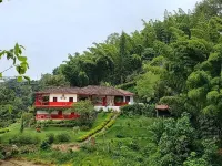Lodge Paraiso Verde Manizales