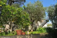 Hotel Mediterraneo Hôtels à : Cogorno