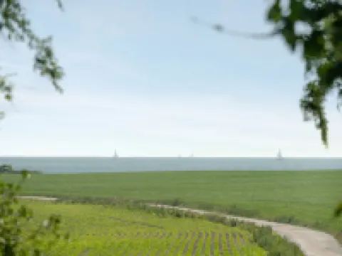 "Ilja" - 400m from the Sea