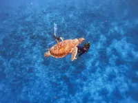 Dhigurah Beach Inn