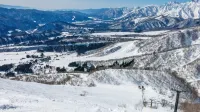 Petit Hotel Iris Hotels in Otari