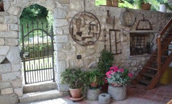 Il Giardino Degli Elfi
