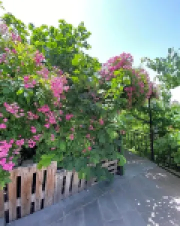 Olympia Garden Hotel