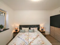 Haus Goldmann