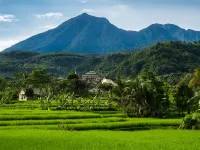 Literooms Kebun Raya Bogor Hôtels à : Central Bogor