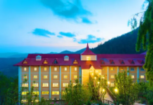 Toshali Royal View ,S H I M L A