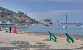 Catalina Island Duplex - Steps to Beach and Pier!
