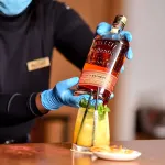 Alba Hotel Meru - bar