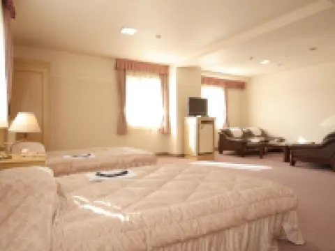 野上總統酒店 飯冢市酒店