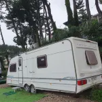 Uljin 1 Night 2 Days Pension (Dog Companion)