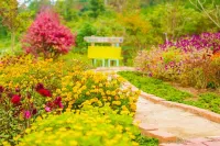 Boryeong (Muchangpo) Sketchbook at Afternoon Pension Hotel di Boryeong