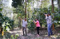 Gokulam Grand Resort & Spa, Coorg Các khách sạn ở Suntikoppa