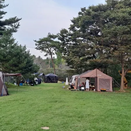 Hongseong Seoteo Auto Camping Site & Pension