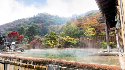 スパ・大浴場 伊香保温泉　和心の宿 大森の写真
