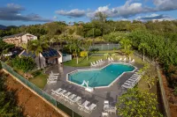 Banyan Harbor Resort - Beach