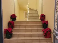 Nautilus Apartments Hotels in Galaxidi
