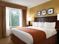 Spark by Hilton Sumter