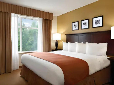 Spark by Hilton Sumter