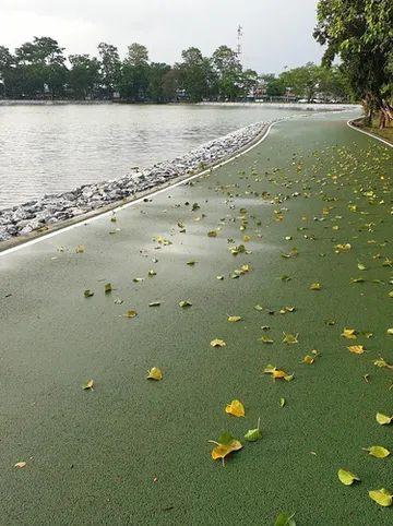 รูปภาพของอพาร์ทเม้นท์ รายเดือน หอพักอินจัน