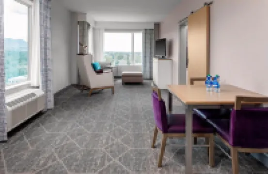 Hilton Garden Inn Colorado Springs Downtown