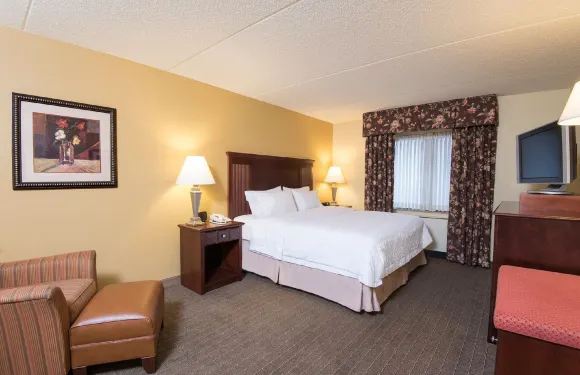 希爾頓歡朋酒店-斯克內克塔迪