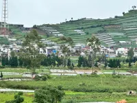 Bosco Dieng Villa Hotels in Batur