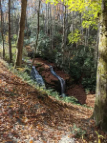 Bracken Bungalow - Cozy retreat a short stroll from downtown Brevard