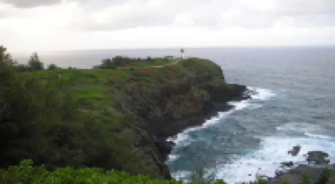 Experience the Island Paradise of Kauai's North Shore from above the Treetops.