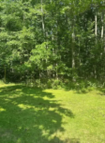 Two separate updated secluded cottages for one price. near beach & restaurants