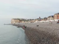 Site classé du Bois de Cise Baie de Somme Hotels in Ault