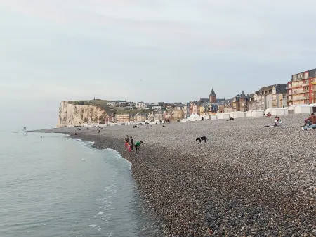 Site classé du Bois de Cise Baie de Somme