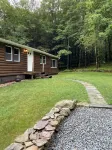Secluded Peaceful Cabin in the Forest