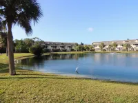 Family Friendly Island Escape Hotels in Placida