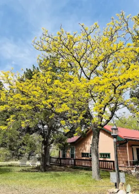 Secluded Riverfront Retreat w/hot tub & private river access