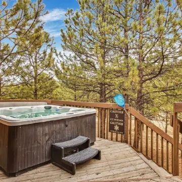 Feels Like Home Mountain Cabin on 40 Acres