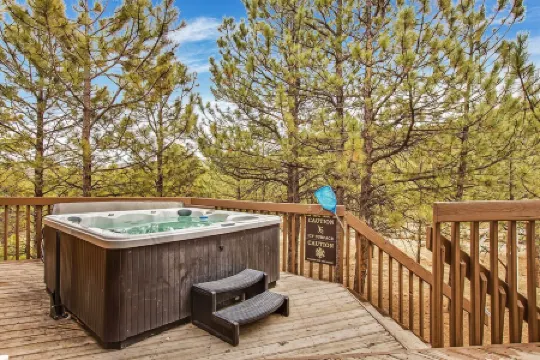 Feels Like Home Mountain Cabin on 40 Acres