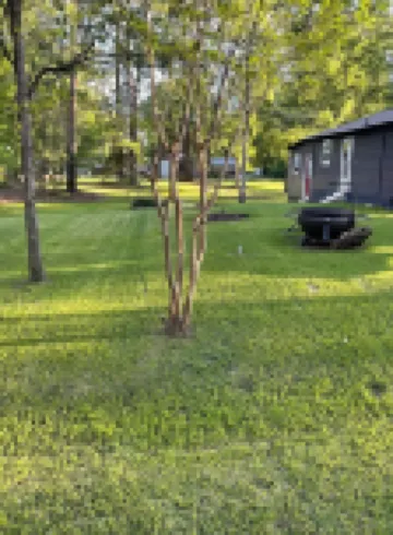 “Lake Life” - Boat ramp here