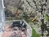 Recharge in quiet mountain neighborhood! Great 180 views! Nearby hiking &skiing! 바운티풀 호텔