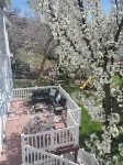 Recharge in quiet mountain neighborhood! Great 180 views! Nearby hiking &skiing!