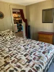 Remote Get Away! - Renovated 3 Bedroom Cabin on Bull Shoals Lake.