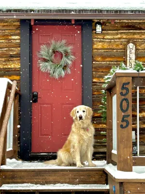 Wonderful Log Cabin in Grand Lake Colorado-Pet Friendly - Hytter