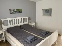 Forest view in the Lerbachtal / Harz