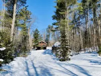 LodgeLife Springbrook - Unwind in Nature Lux Log Cabin in the Heart of Adventure