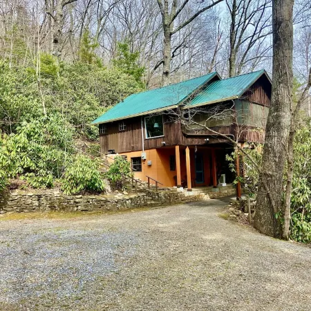 Rustic 1940's Appalachian Summer Cabin w/hot tub - Black Mountain