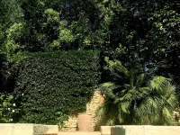 Mas Dagan, vacation apartments in Saint Remy to dream away on a romantic estate ノヴのホテル